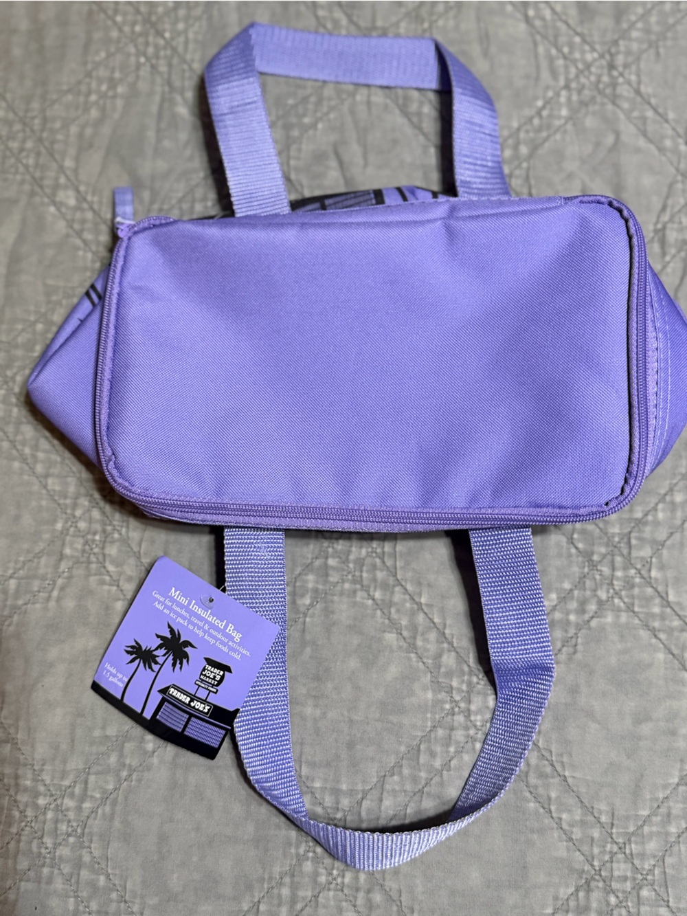 NTW Trader Joe’s purple insulated Mini Cooler